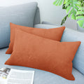 LVTXIII Outdoor Velvet Indoor Lumbar Pillow Covers 12" x 20" Orange (Pack of 2)
