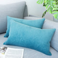 LVTXIII Outdoor Indoor Velvet Lumbar Pillow Covers 12" x 20" Teal (Pack of 2)