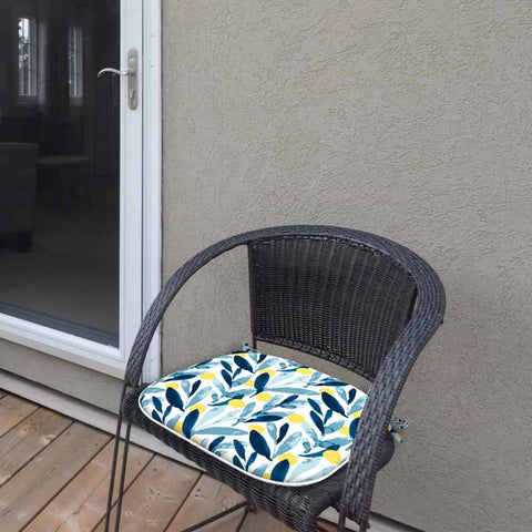 Blue Seat Cushions with chair