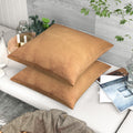 LVTXIII Outdoor Indoor Velvet Square Pillow Covers Coffee (Pack of 2)
